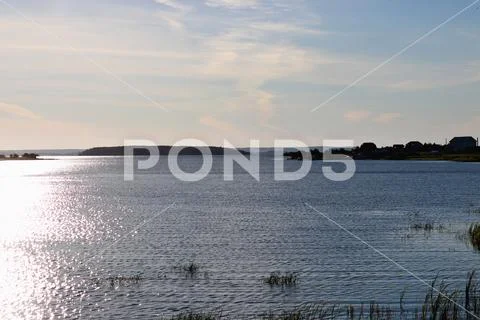 Landscape lake shore Stock Photos