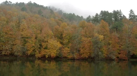 Landscape, Lake, Trees Stock Footage 43256252