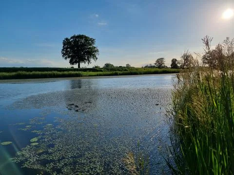 Landscape, lake view. Foto stock