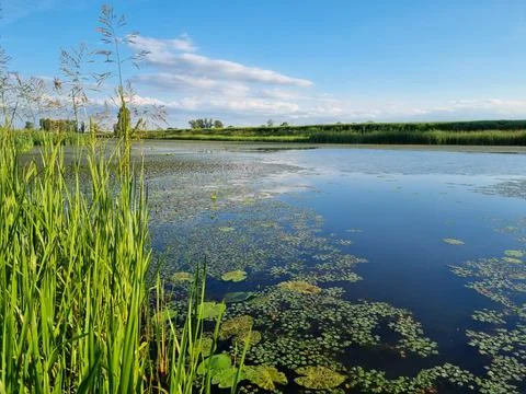 Landscape, lake view. 스톡 사진