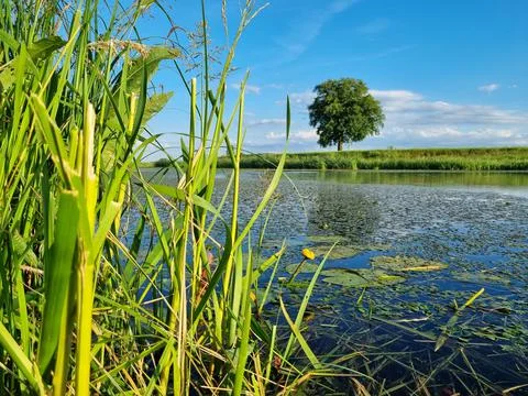 Landscape, lake view. Foto stock