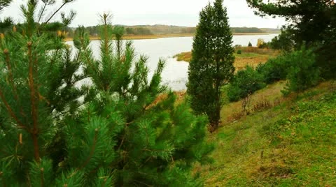 Landscape, lakeside forest. Video stock 12556996