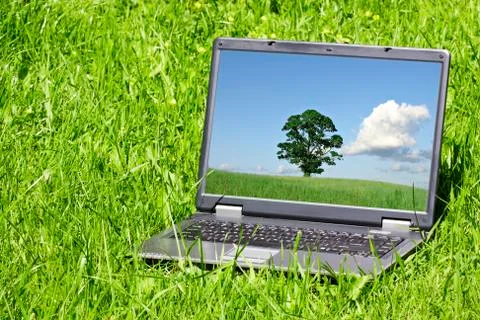 Landscape  on laptop screen Foto stock