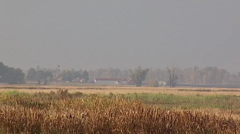Landscape with Large Barn in Bitterroot Valley, Montana Stock Footage 93789668