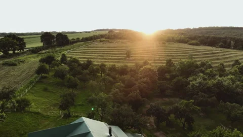 A landscape of a large green field in the midst of a summer sunset Stock Footage 253224262
