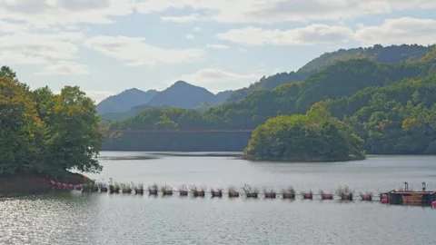 Landscape of large river dam and forest Stock Footage 324559593