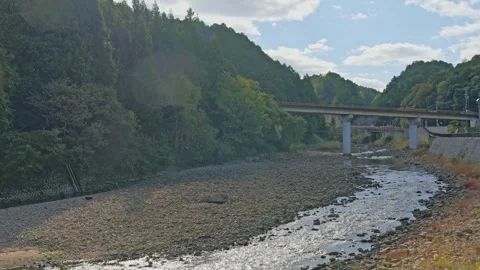 Landscape of large river dam and forest Stock Footage 324559965