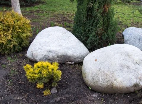 Landscape large white stone Stock Photos
