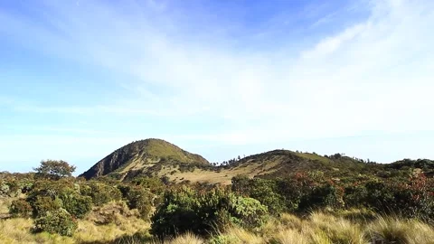 LANDSCAPE OF LAWU MOUNTAIN, CENTRAL JAVA Stock Footage 217397174