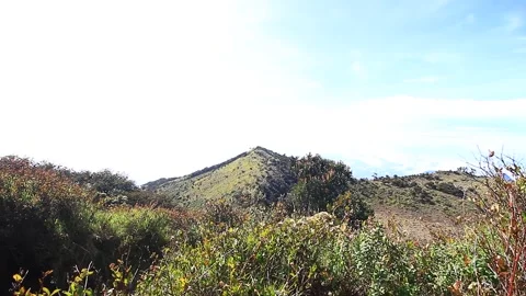 LANDSCAPE OF LAWU MOUNTAIN, CENTRAL JAVA Video stock 217397575