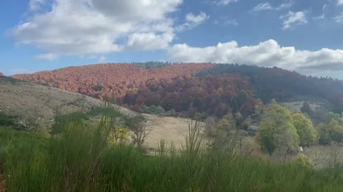 Landscape in Les Cévennes Video stock 345224613