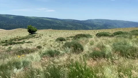 Landscape in Les Cévennes Stock Footage 345360343