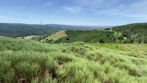 Landscape in Les Cévennes 스톡 동영상 345360864