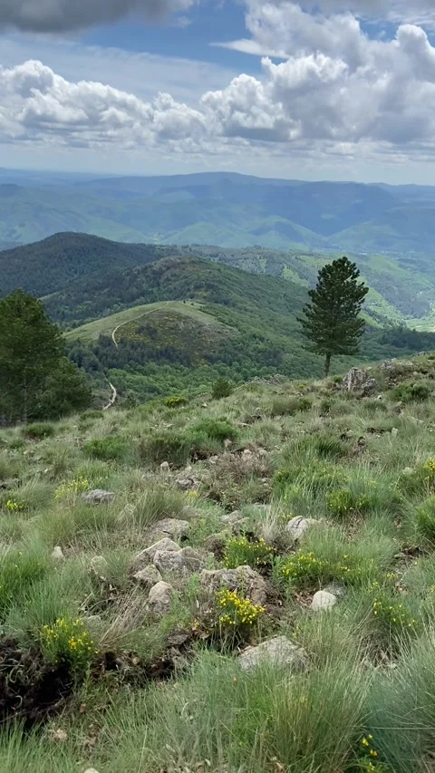 Landscape in Les Cévennes Stock Footage 345361145