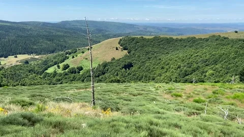 Landscape in Les Cévennes Stock Footage 345361149