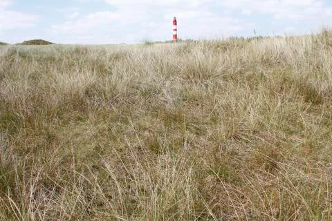Landscape with a lighthouse Stock Photos