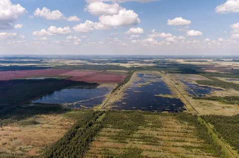 Landscape in Lithuania. Nature with forest in background. Peat field in bac.. Stock Photos