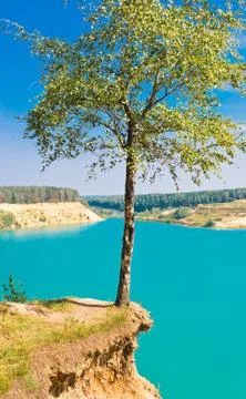 Landscape with lonely tree Stock-Fotos