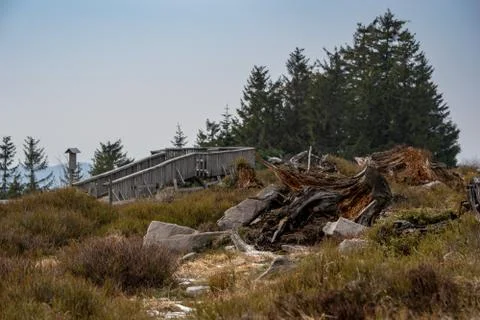 Landscape of the Lothar path in the Black Forest Stock Photos