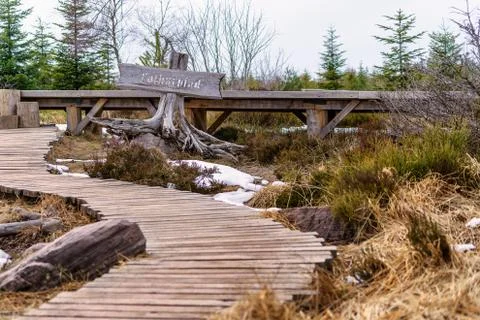 Landscape of the Lothar path in the Black Forest Stock Photos