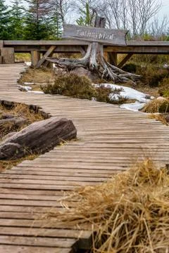 Landscape of the Lothar path in the Black Forest Stock Photos