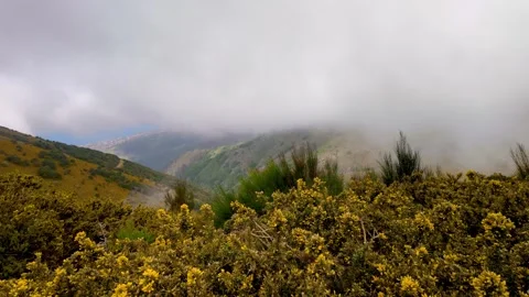 Landscape of low level clouds at highlands of central Madeira Island in Por.. Stock Footage 274853462