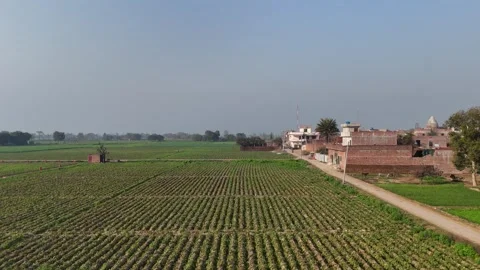 Landscape with Lush Green Fields and Natural Village Scenery Video stock 329318928