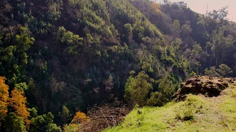 Landscape of Madeira. Stock-Footage 102663881
