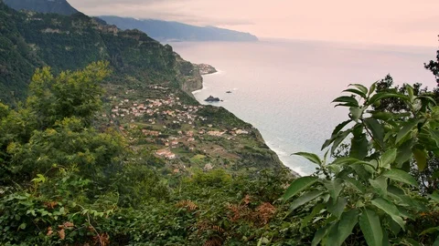 Landscape of Madeira. Stock-Footage 103096358
