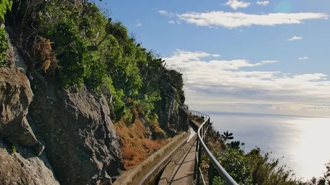 Landscape of Madeira. Stock Footage 103099810