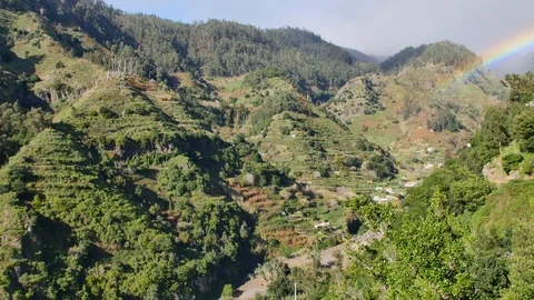 Landscape of Madeira Stock-Footage 103099831