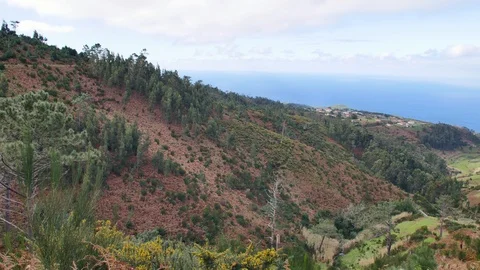 Landscape of Madeira. Stock Footage 103450138
