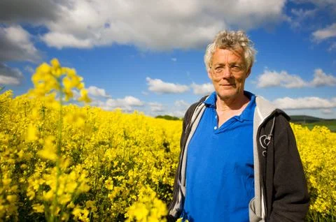 Landscape with man in cole seed Stock Photos