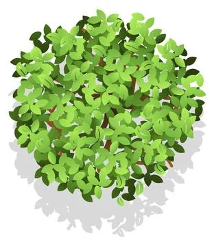 Landscape map element. Green plant top view Stock Illustration