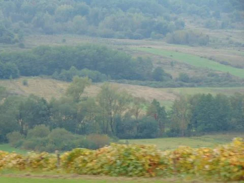 Landscape in Maramures county Фото