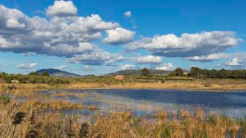 Landscape in the marsh of Gaianes with withe clouds Stock Photos
