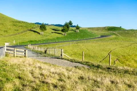 Landscape Matamata Stock Photos