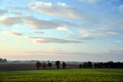Landscape with Meadow, Fields and Trees in the Evening during Autumn Stock Photos