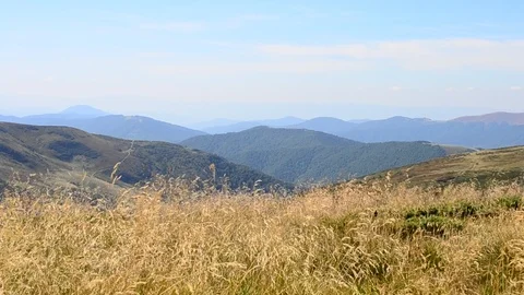 Landscape with meadow grass blown by wind in Mountains Stock-Footage 88345167