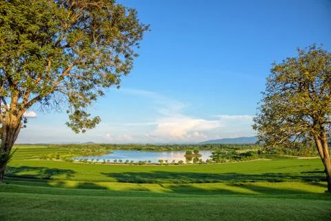 Landscape of meadow Stock Photos