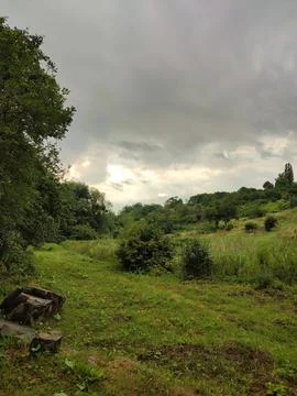Landscape in the meadow Stock Photos