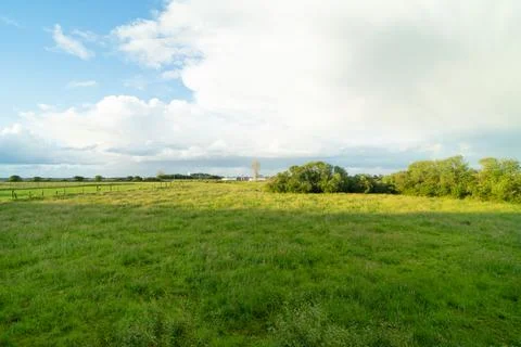 Landscape of meadows and trees with cloudy sky. Stock Photos