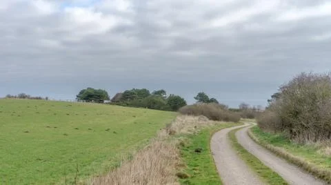 Landscape with meadows Stock Photos