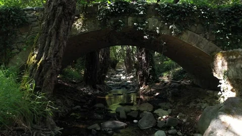 Landscape Medieval Bridge Forest river Backward Cyprus 1 Stockbeeldmateriaal 244665098