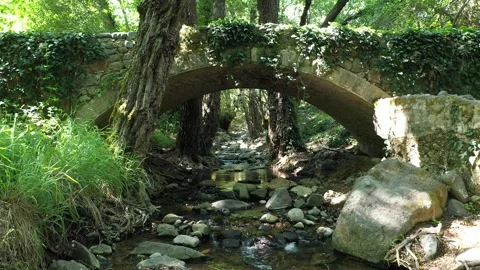 Landscape Medieval Bridge Forest river Forward Cyprus 1 Stockbeeldmateriaal 244665234