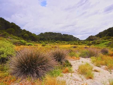 Landscape of minorca Stock Photos