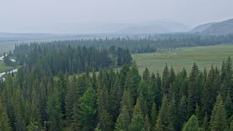 Landscape of misty forest below horses in the distance hilly mountains 4k Stock Footage 124772139