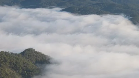 Landscape of misty valley and mountain clouds sea Stock Footage 326991069