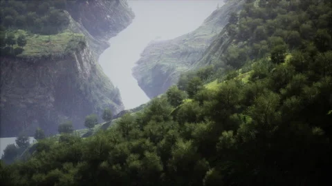 Landscape with a mixed forest in spring Stock Footage 232677752