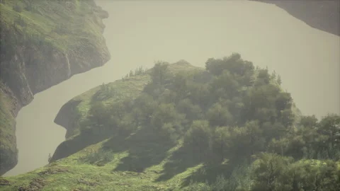 Landscape with a mixed forest in spring Stock Footage 252810569